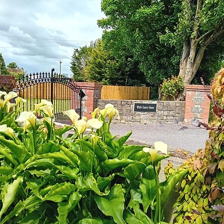 White Quarry Hse Quarry Road Guest House Navan Bagian luar foto
