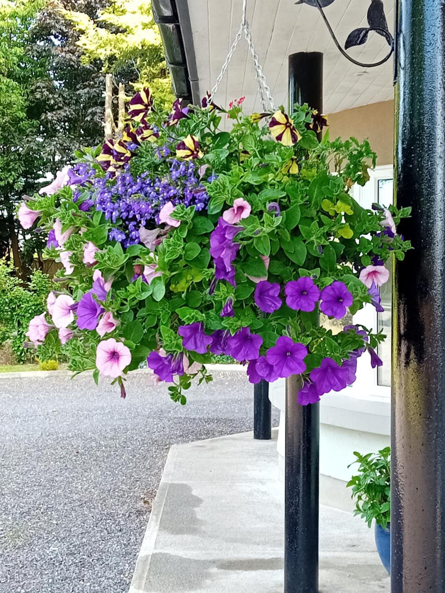 White Quarry Hse Quarry Road Guest House Navan Bagian luar foto