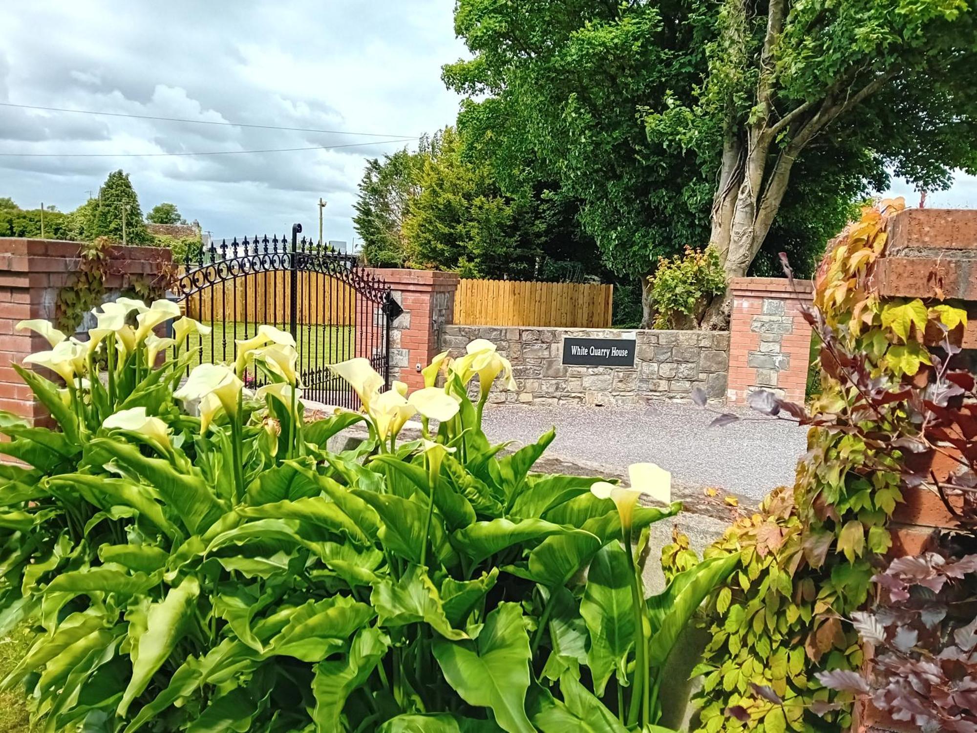 White Quarry Hse Quarry Road Guest House Navan Bagian luar foto