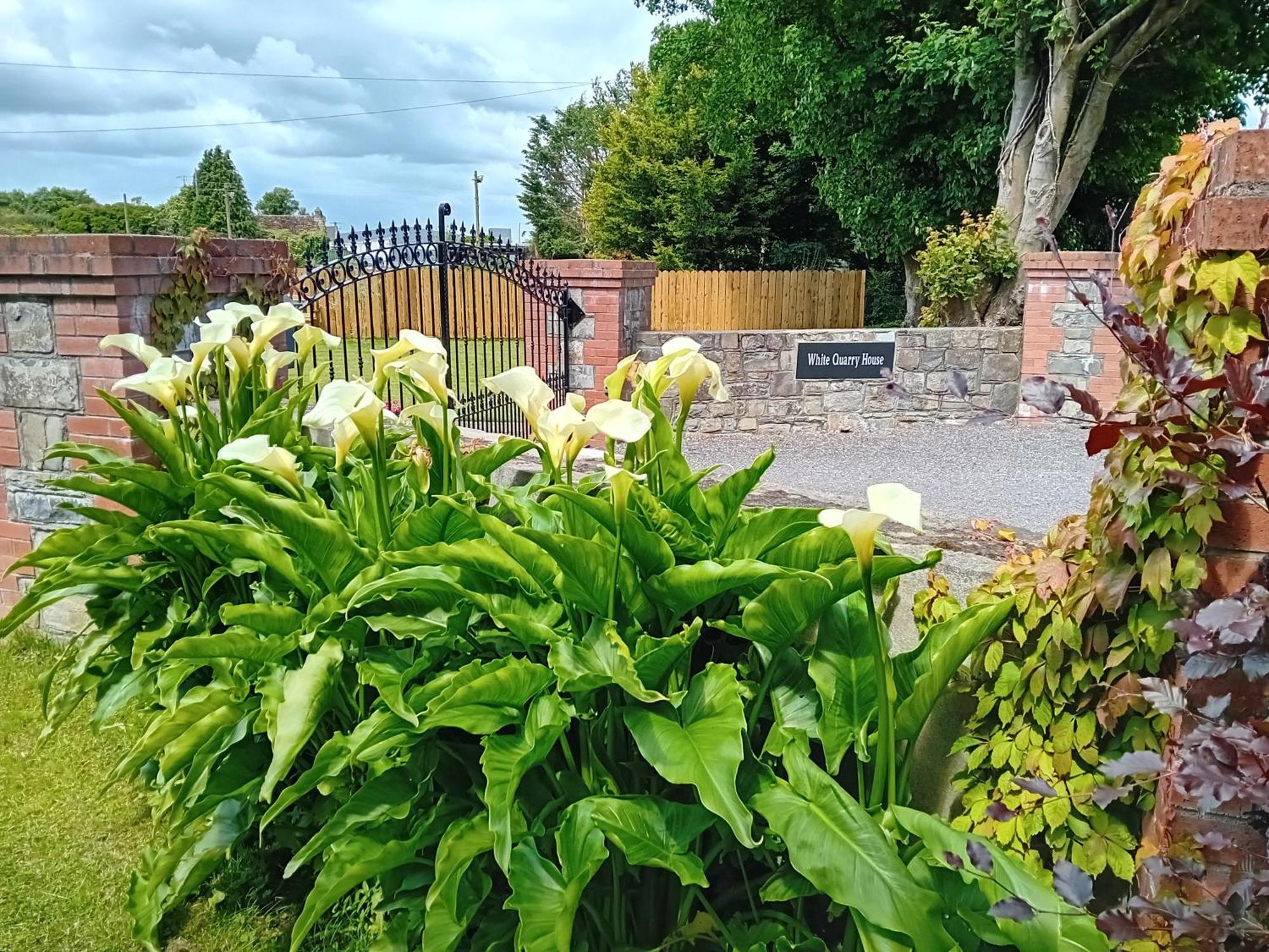 White Quarry Hse Quarry Road Guest House Navan Bagian luar foto